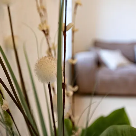 Appartement Spacious Renovated In Center Pézenas